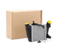 RIDEX 468I0018 Intercooler per VW POLO (9N) Fox Hatchback (5Z1, 5Z3, 5Z4)