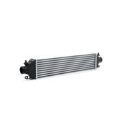RIDEX 468I0064 Intercooler per OPEL COMBO Cassone / Furgonato / Promiscuo (X12)