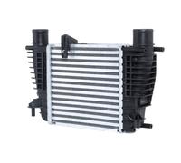 RIDEX 468I0069 Intercooler per RENAULT Clio III Hatchback (BR0/1, CR0/1)
