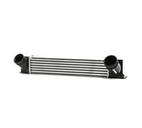 Intercooler NISSENS 96480