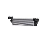 RIDEX 468I0102 Intercooler per RENAULT ESPACE IV (JK0/1) LAGUNA II (BG0/1)