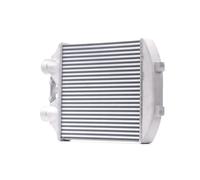 RIDEX 468I0107 Intercooler per SEAT Ibiza III Schrägheck (6L)