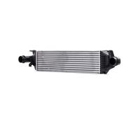 RIDEX 468I0146 Intercooler adatto per MERCEDES-BENZ A-Klasse (W176) GLA (X156)