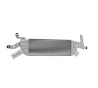 RIDEX 468I0335 Intercooler adatto per PEUGEOT 4007 (VU, VV)