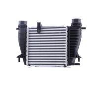 RIDEX 468I0342 Intercooler per RENAULT Clio III Schrägheck (BR0/1, CR0/1)