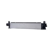 RIDEX 468I0343 Intercooler per OPEL Movano C Kastenwagen (U9)