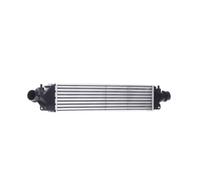 RIDEX 468I0368 Intercooler per OPEL Corsa D Hatchback (S07) per VAUXHALL