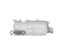 RIDEX 469O0062 Radiatore olio motore adatto per MERCEDES-BENZ M-Klasse (W164)