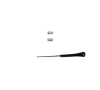 RIDEX Antenna autoradio