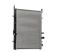 RIDEX 470R0003 Radiatore motore