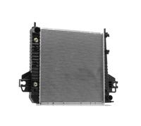 RIDEX 470R0065 Radiatore motore