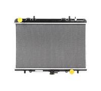 RIDEX 470R0117 Radiatore motore