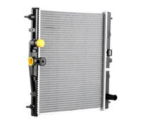 RIDEX 470R0133 Radiatore motore per RENAULT Clio III Hatchback (BR0/1, CR0/1)