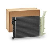 RIDEX 470R0481 Radiatore motore