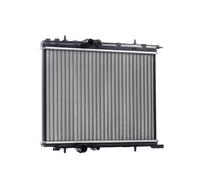 RIDEX 470R0598 Radiatore motore