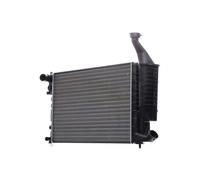 RIDEX 470R0624 Radiatore motore