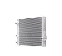 RIDEX 470R0674 Radiatore motore per BMW X5 (E70) X6 (E71, E72) X5 (F15, F85)