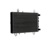 RIDEX 470R0926 Radiatore motore