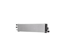 RIDEX 470R0953 Radiatore motore