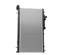 RIDEX 470R1004 Radiatore motore