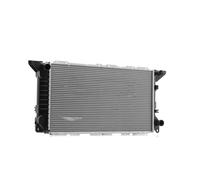 RIDEX 470R1007 Radiatore motore