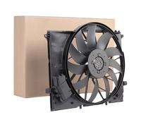 RIDEX 508R0024 Ventola radiatore