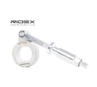 RIDEX 540T0006 Braccio tenditore, Cinghia Poly-V