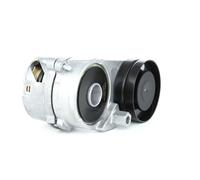 RIDEX 540T0011 Braccio tenditore Cinghia Poly-V Ø76,0mm per VW PASSAT (3B3)