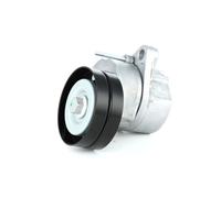 RIDEX Braccio tenditore, Cinghia Poly-V