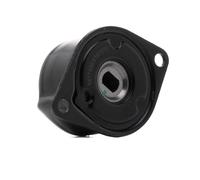 RIDEX 541V0009 Tenditore cinghia servizi