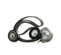 RIDEX 542R0002 Kit Cinghie Poly-V