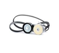 RIDEX 542R0016 Kit Cinghie Poly-V con rullo tenditore per FORD KA (RU8)