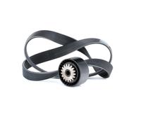 DAYCO KPV183 Kit Cinghie Poly-V