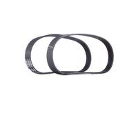 RIDEX 542R0018 Kit Cinghie Poly-V per FORD Fiesta Mk6 Schrägheck (JA8, JR8)