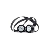 RIDEX 542R0110 Kit Cinghie Poly-V con rullo tenditore con galoppino per BMW