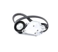 RIDEX 542R0114 Kit Cinghie Poly-V per FORD Fiesta Mk6 Hatchback (JA8, JR8)