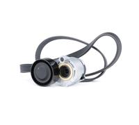 RIDEX 542R0170 Kit Cinghie Poly-V