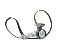 RIDEX 542R0173 Kit Cinghie Poly-V per OPEL Corsa D Hatchback (S07) Meriva A