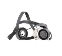 RIDEX Kit Cinghie Poly-V