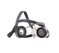 RIDEX 542R0198 Kit Cinghie Poly-V con rullo tenditore con galoppino