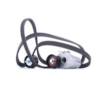 RIDEX 542R0202 Kit Cinghie Poly-V con rullo tenditore per BMW 3 Limousine (E90)