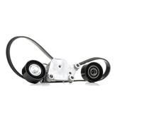 RIDEX 542R0226 Kit Cinghie Poly-V per FORD Fiesta Mk6 Hatchback (JA8, JR8)