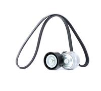 RIDEX 542R0295 Kit Cinghie Poly-V per FIAT BRAVO II (198) 500L (351, 352)