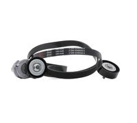 RIDEX 542R0352 Kit Cinghie Poly-V per VW Polo Hatchback (6R1, 6C1) GOLF VI (5K1)