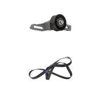 RIDEX 542R0432 Kit Cinghie Poly-V