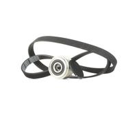 RIDEX 542R0439 Kit Cinghie Poly-V