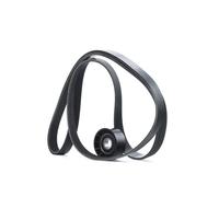 RIDEX 542R0471 Kit Cinghie Poly-V per RENAULT CLIO II (BB0/1/2, CB0/1/2)