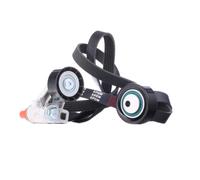 RIDEX 542R0571 Kit Cinghie Poly-V per FIAT Scudo Kastenwagen (220) ULYSSE (220)