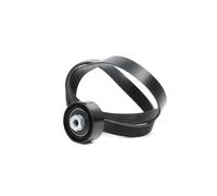 RIDEX 542R0659 Kit Cinghie Poly-V