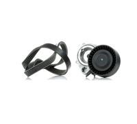 RIDEX 542R1034 Kit Cinghie Poly-V per BMW 3 Sedan (E46) 5 Sedan (E39) X3 (E83)